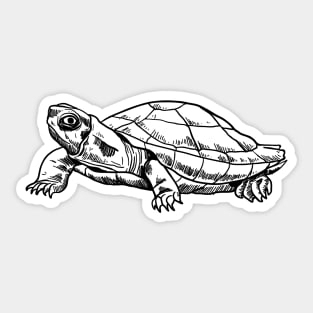 Turtle Hand Drawn Sticker